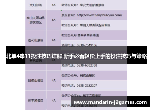 北单4串11投注技巧详解 新手必看轻松上手的投注技巧与策略