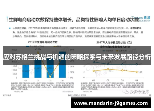 应对苏格兰挑战与机遇的策略探索与未来发展路径分析