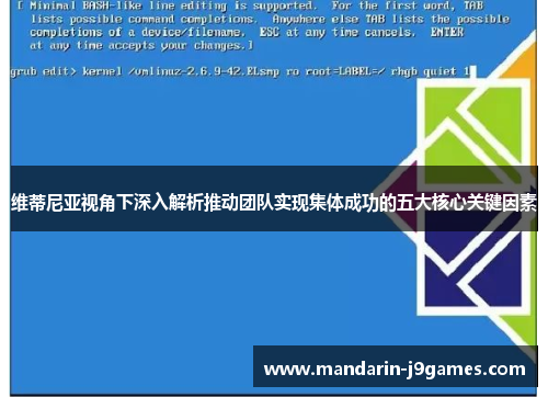 维蒂尼亚视角下深入解析推动团队实现集体成功的五大核心关键因素