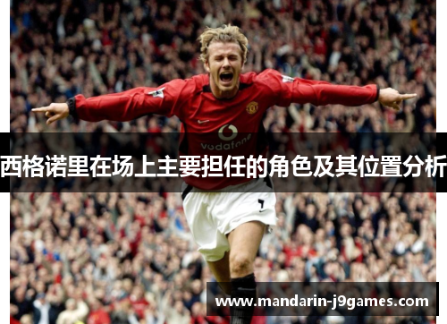 西格诺里在场上主要担任的角色及其位置分析